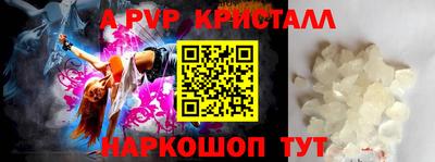 spice Кингисепп